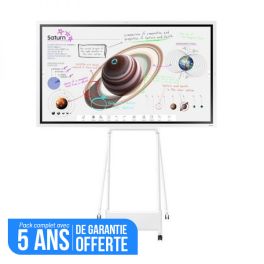 Samsung Flip 4 55'' + support