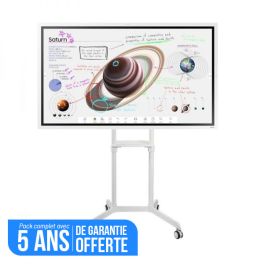 Samsung Flip 4 65'' + support Neomounts 